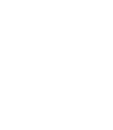Visamie